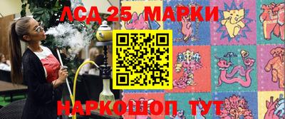 кокс Кандалакша