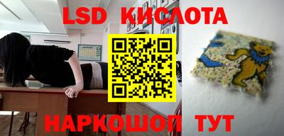 2c-b Кингисепп
