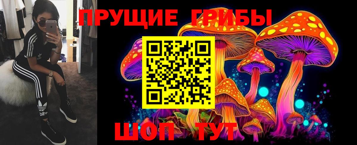 Галлюциногенные грибы мицелий  Вход с VPN  хочу наркоту  Стерлитамак 